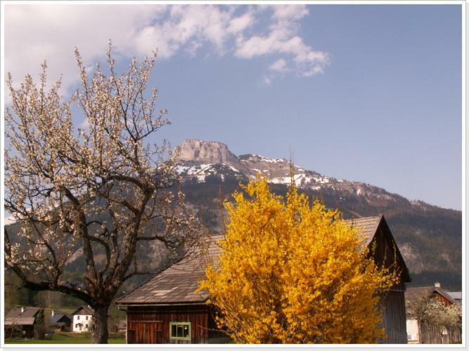 Ferienwohnung Haus Einhirn Altaussee Ngoại thất bức ảnh